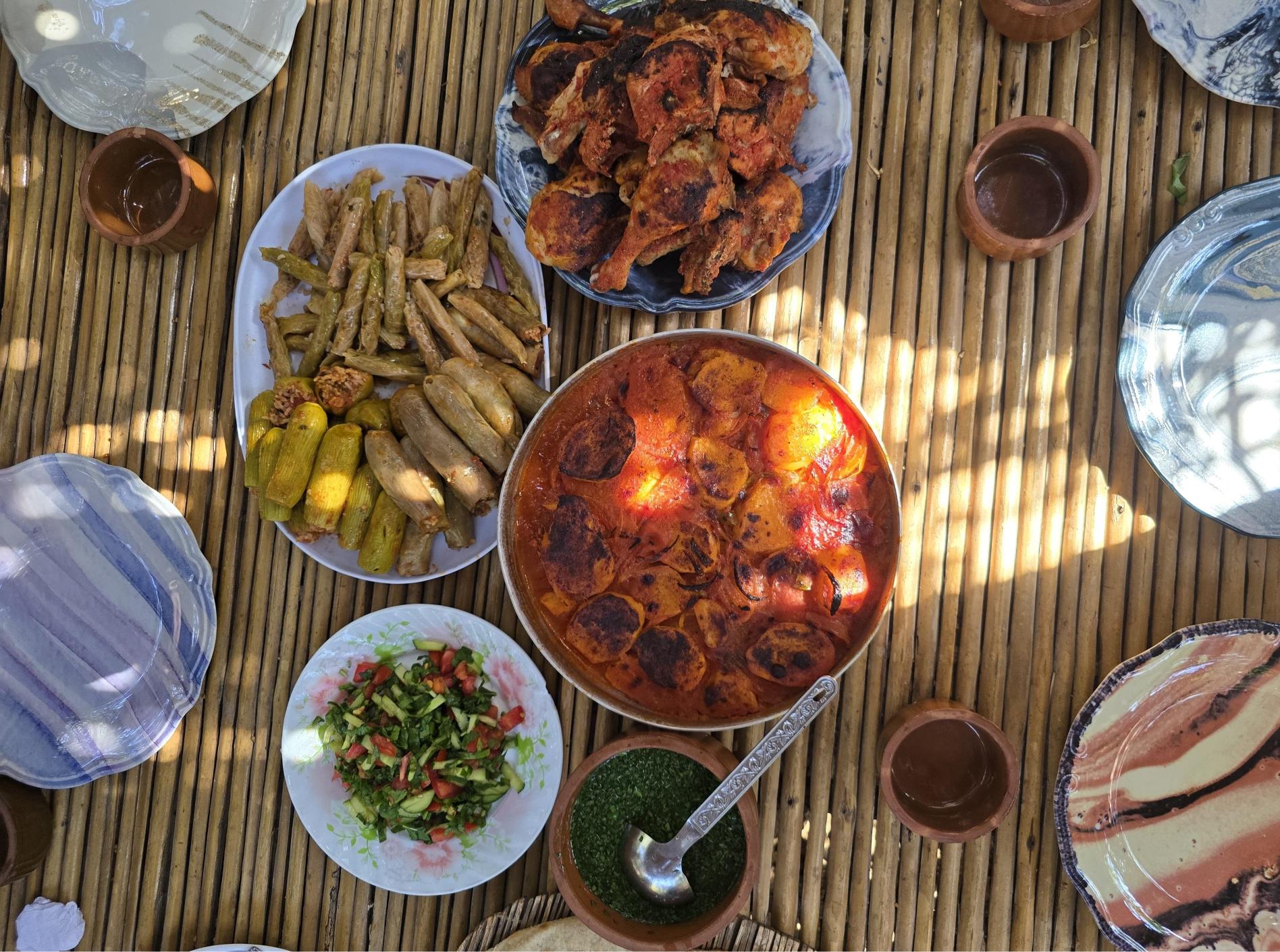 Organic Farm Dining, Day Use & Rural Activities in Dahshur, Egypt | Authentic Countryside Experience