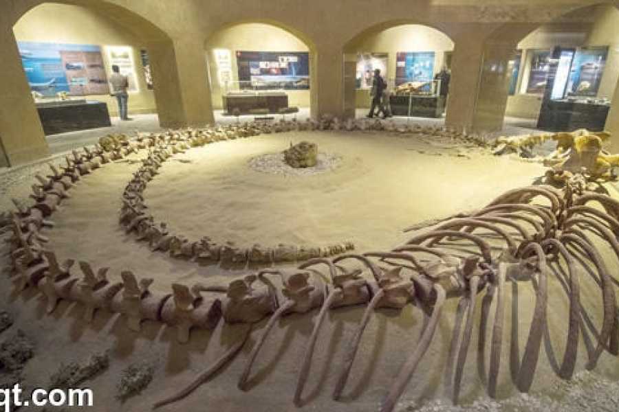 Full-Day El Fayoum Adventure from Cairo