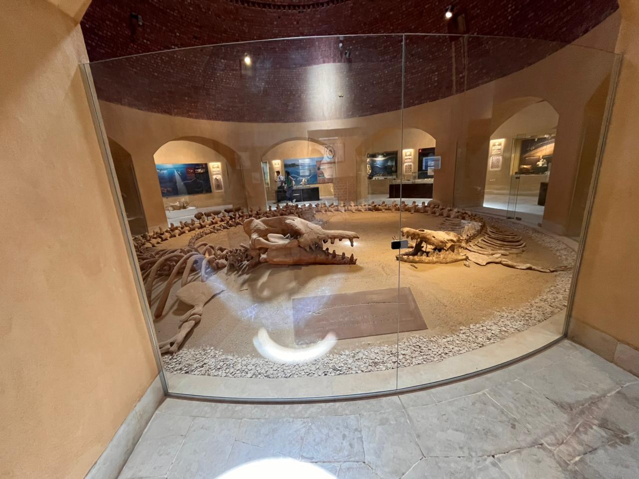 Overnight Whales Valley and Wadi El Rayan Waterfalls Tour in El Fayoum from Cairo