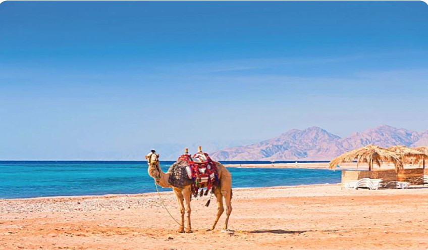 Marsa Alam